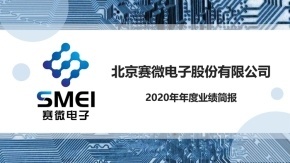 賽微電子2020年度業(yè)績簡報(bào)
