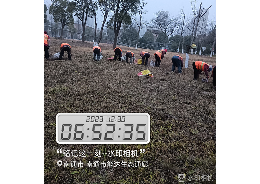 新開北路黑色化改造(復興路-星湖大道)景觀綠化工程