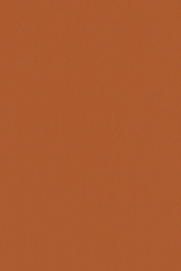 愛馬仕橙
