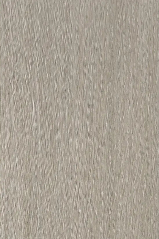 挪威森林淺灰
