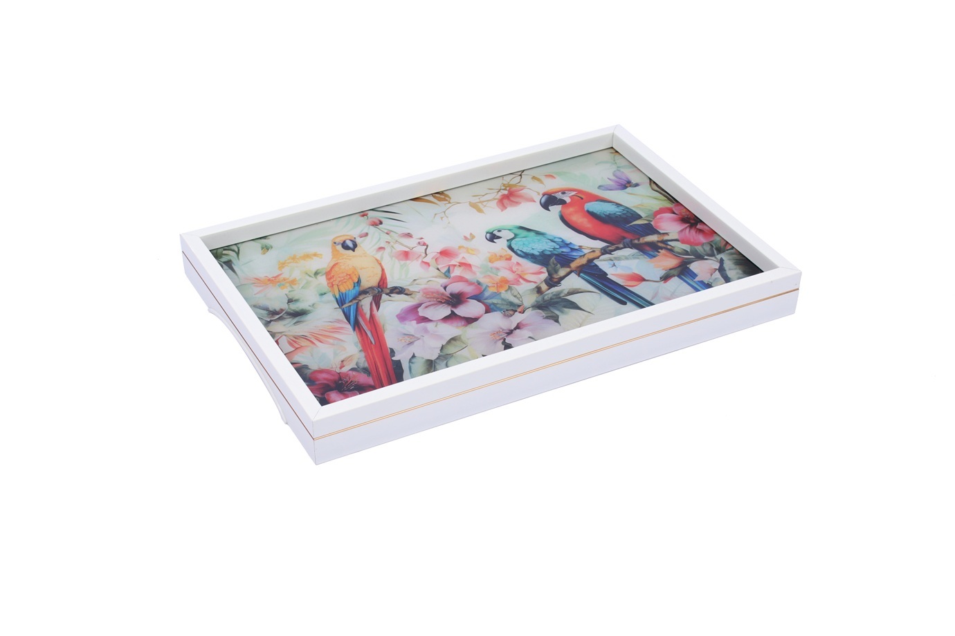 NEW Tray Rectangle CXFP37802
