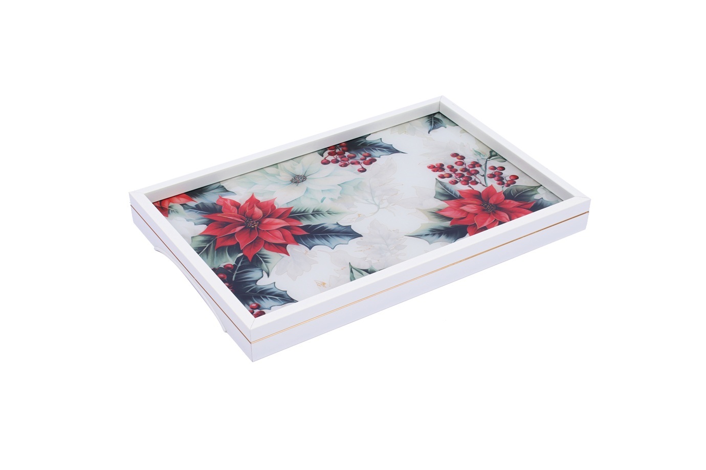 NEW Tray Rectangle CXFP37801
