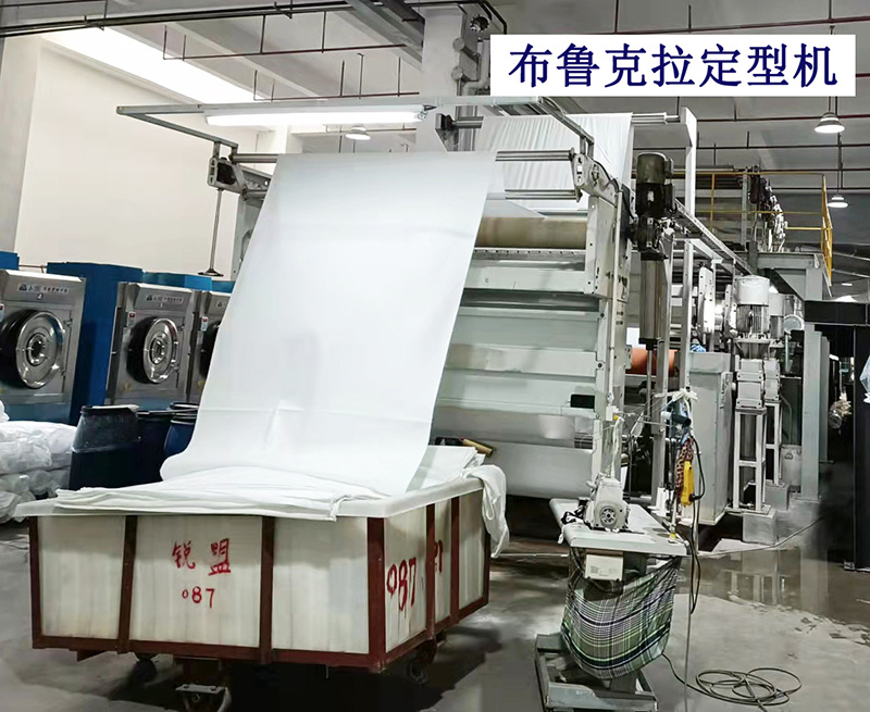 布鲁克拉定型机