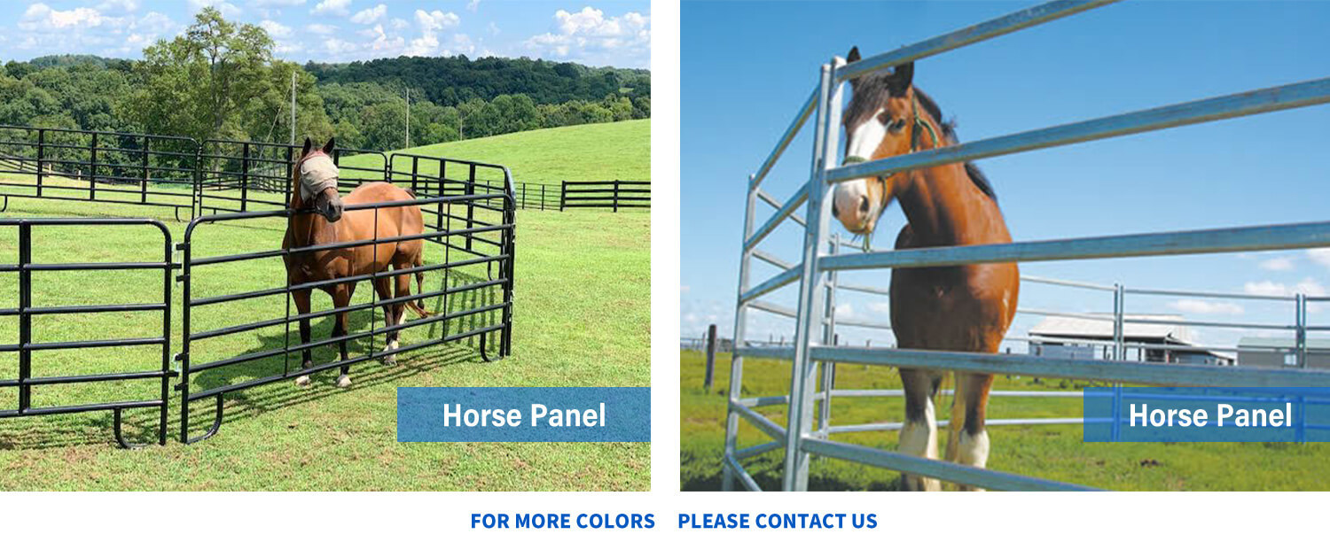 Horse panels