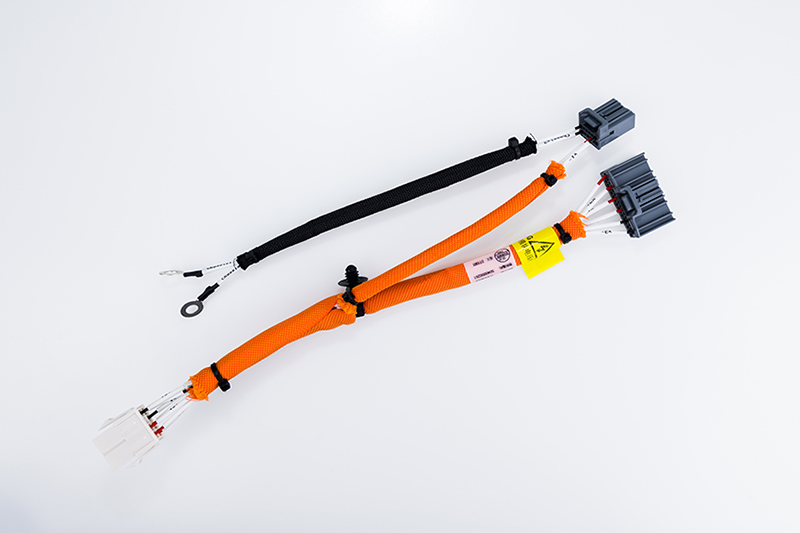 BMS harness 3