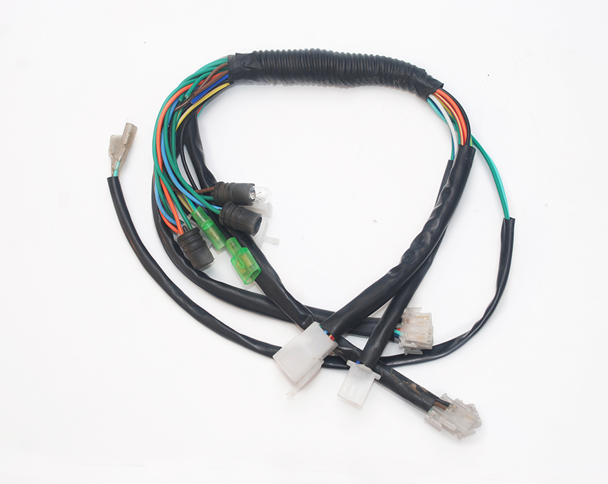 Motorcycle harness 1