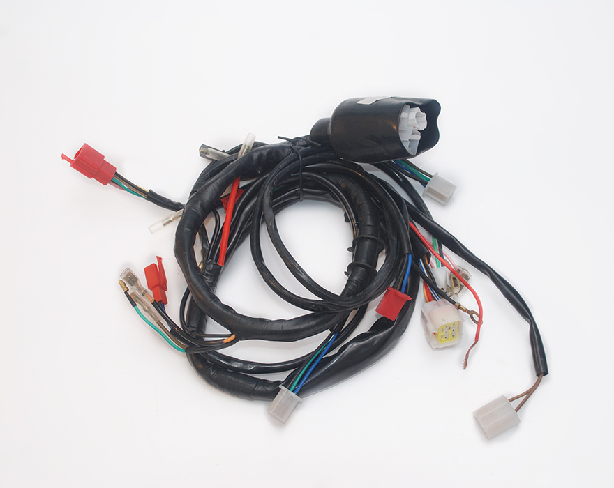 Motorcycle harness 9