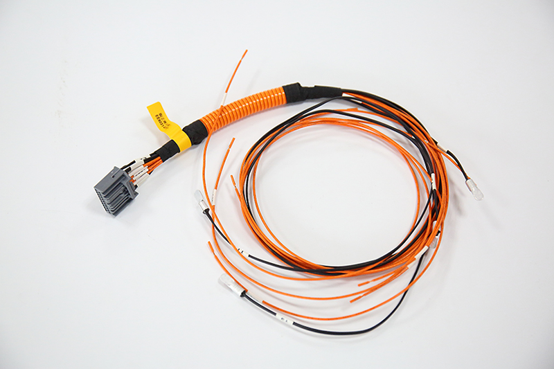 BMS harness