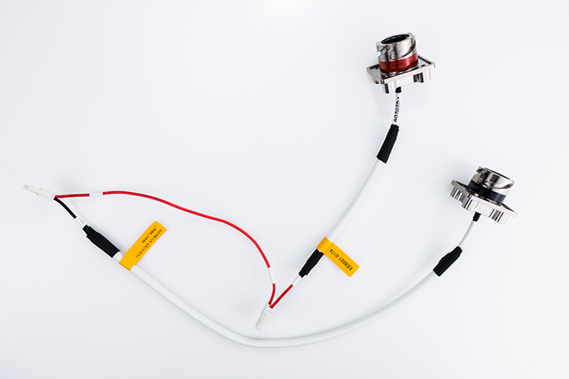 BMS harness 2