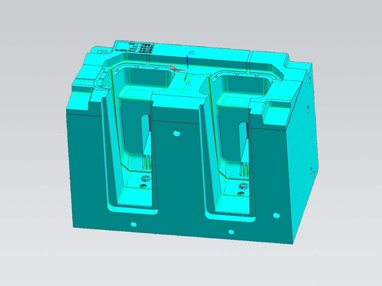 Security plastic mold 1