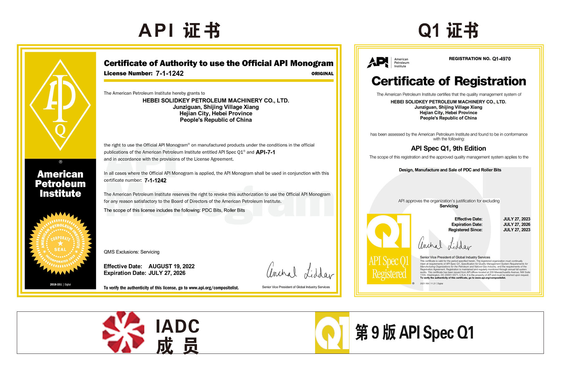 API License Photo