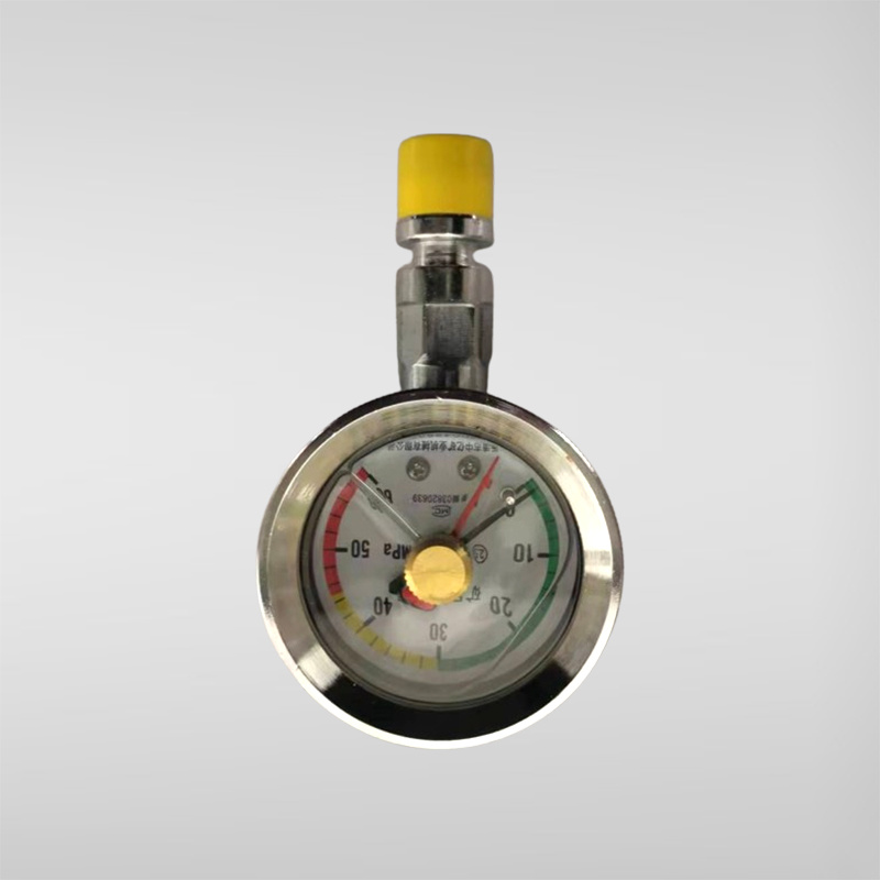Pressure gauge