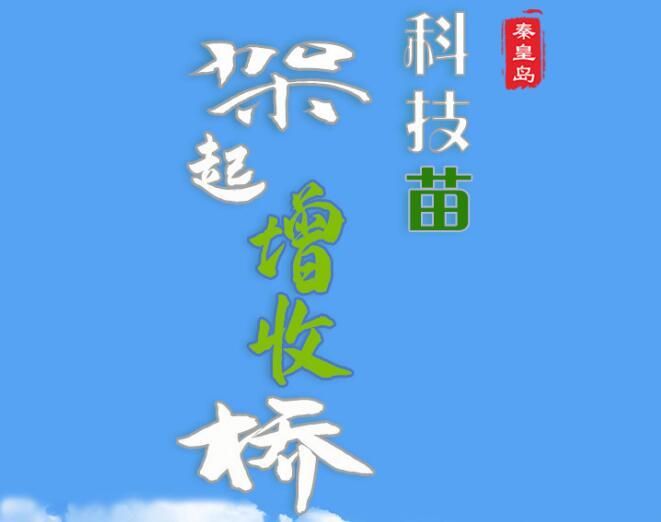 河北秦皇岛：“科技苗”架起“增收桥”