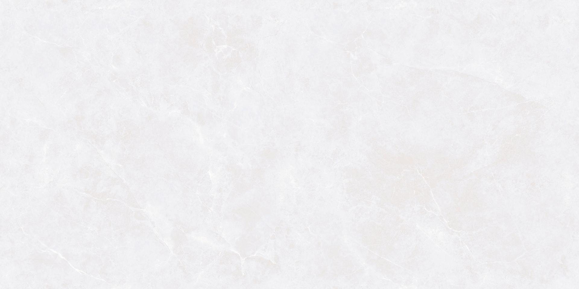 S8406