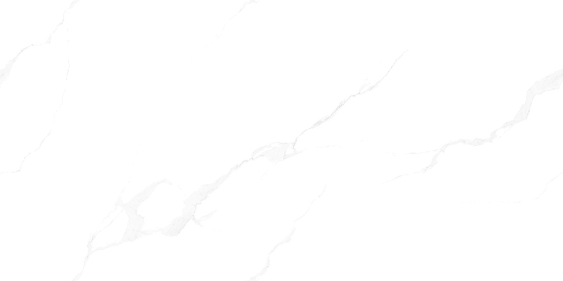 TOP8401