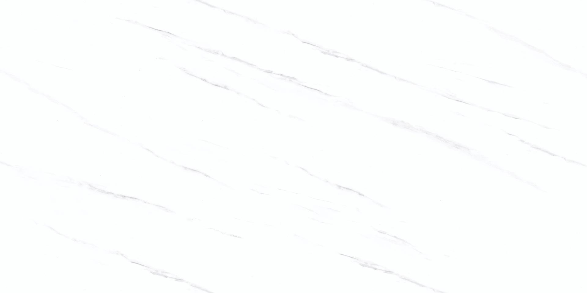 S8401