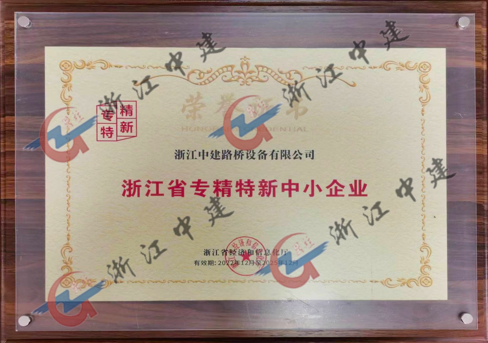 Specialized and Special New Small and Medium-sized Enterprises in Zhejiang Province