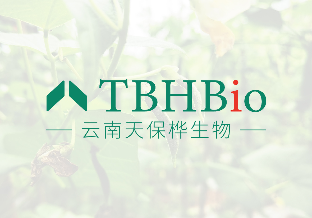 视频标题