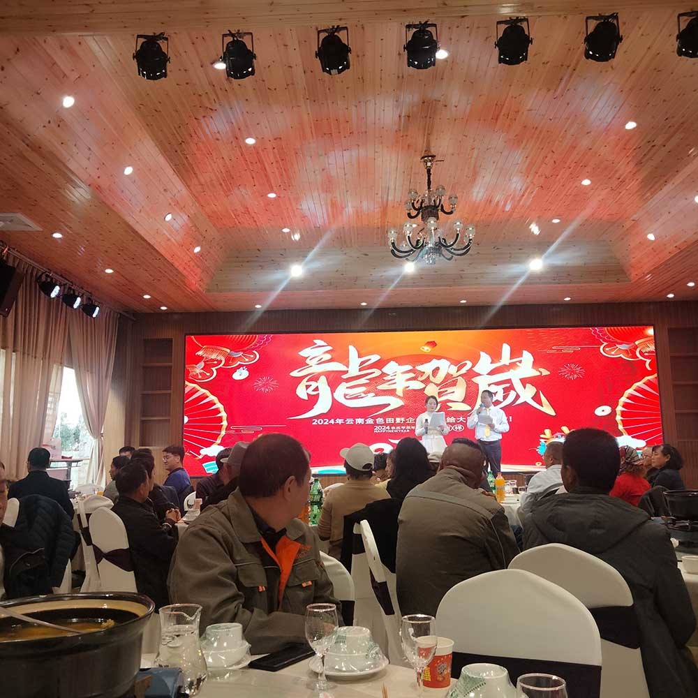 Yunnan Golden Field Enterprise Group 2024 Chinese New Year Reunion and 2023 Advanced Commendation Meeting