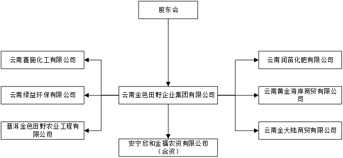 组织架构 组织架构