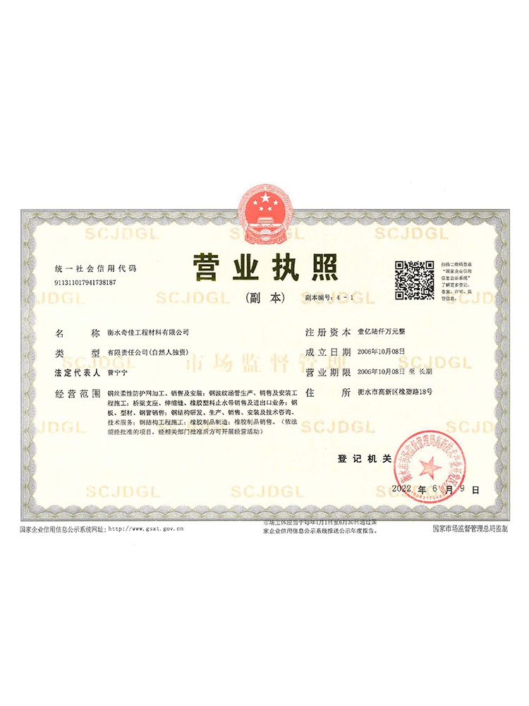 BUSINESS LICENSE