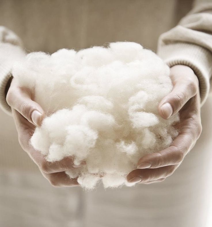 Why Choose Organic Fabrics for Your Clothing Needs? A Comprehensive Guide