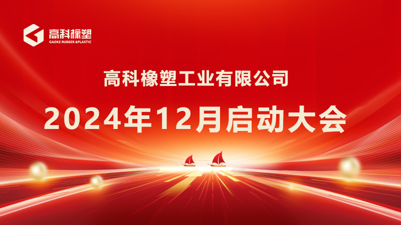 2024新澳门历史记录查询网站2024年12月启动大会顺利召开！