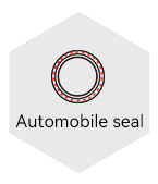 Automobile sealing