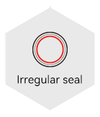 Irregular seal