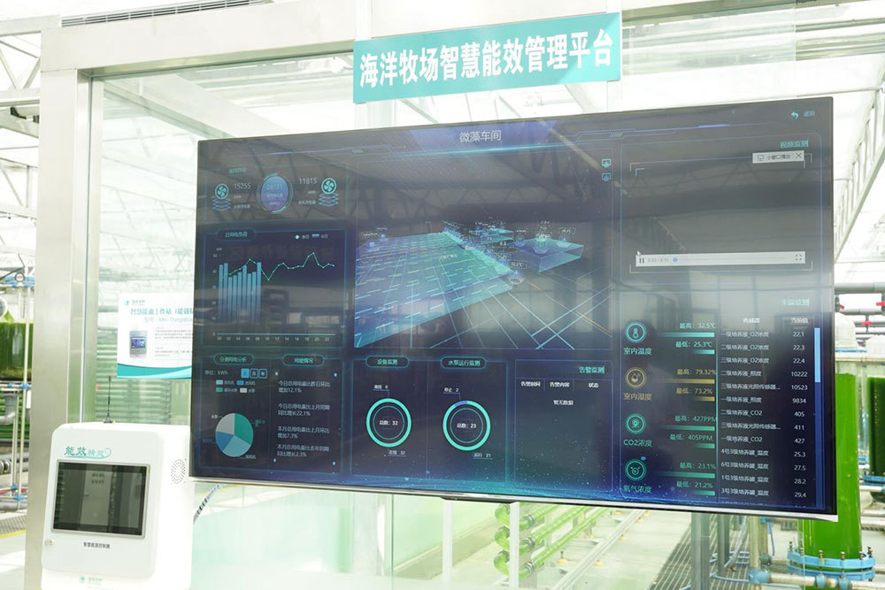 用“数字”赢未来！球速体育welcome推动数字经济变革