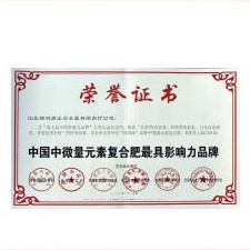 中國(guó)中微量元素復(fù)合肥影響力品牌