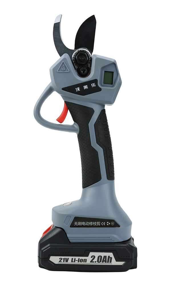 Mastering the Art of Precision: Using Pruning Shears Like a Pro