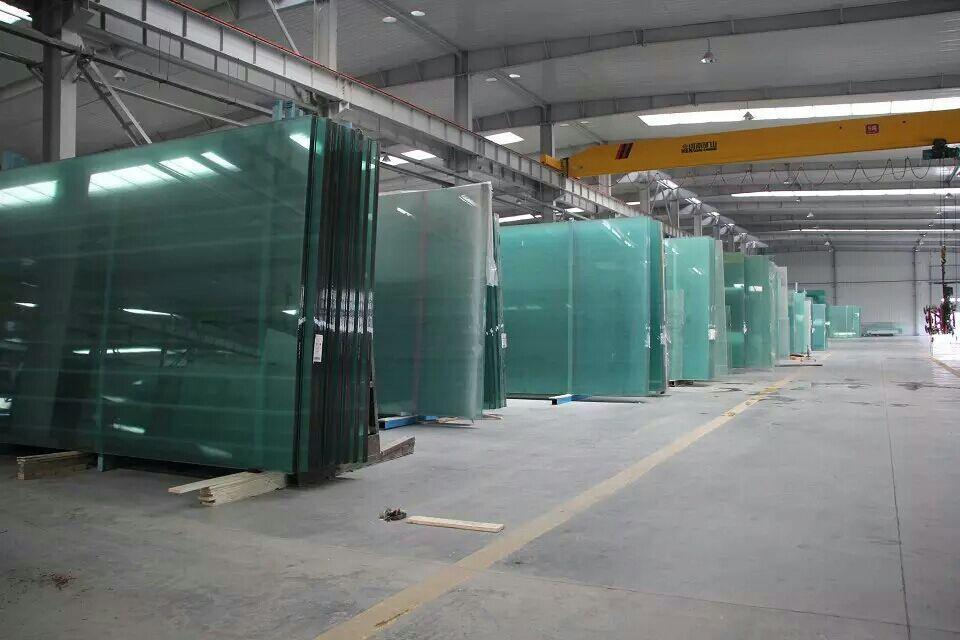 Tempered Glass (7)