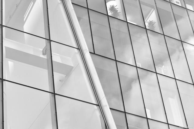 Exposed Frame Glass Curtain Wall (2)