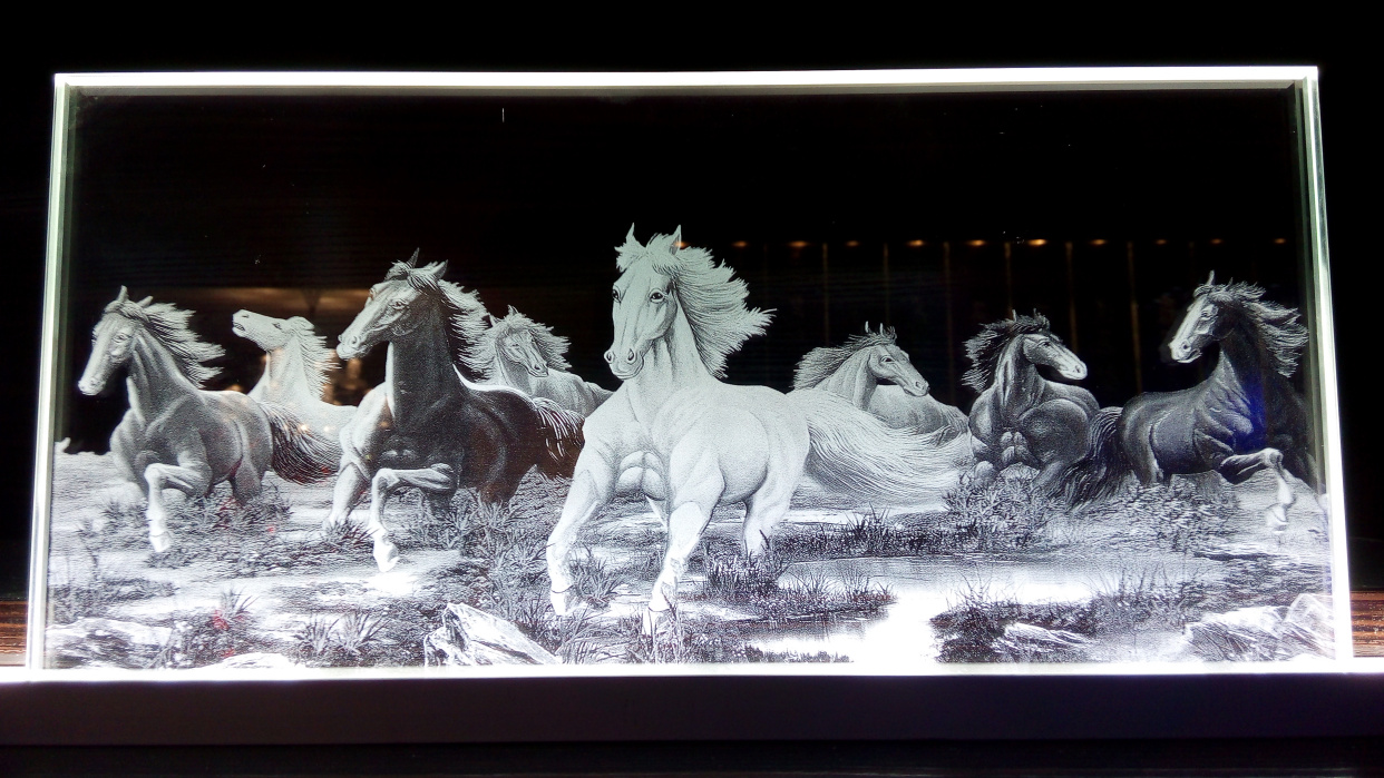 Laser-etched Glass (4)