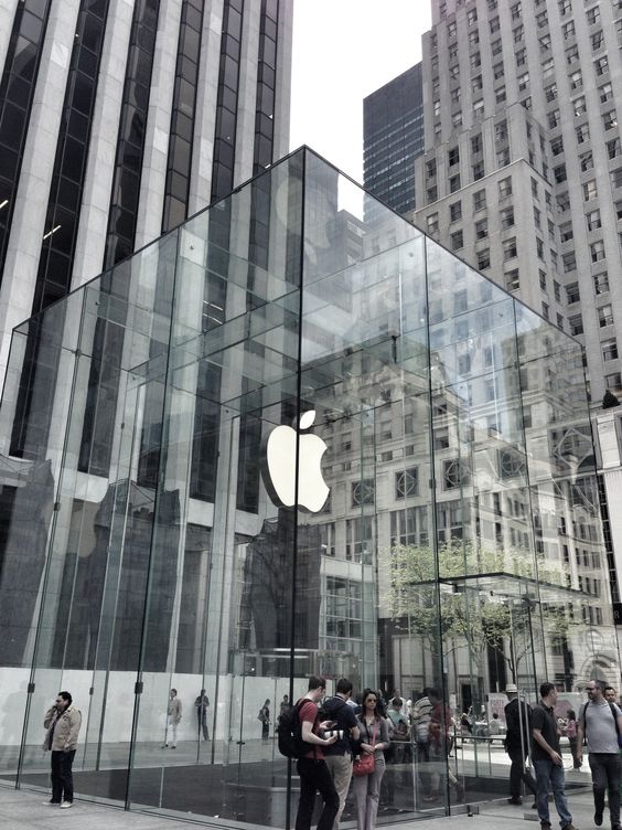 Glass curtain wall (16)