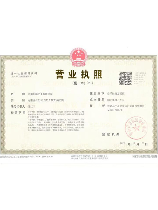 Business License