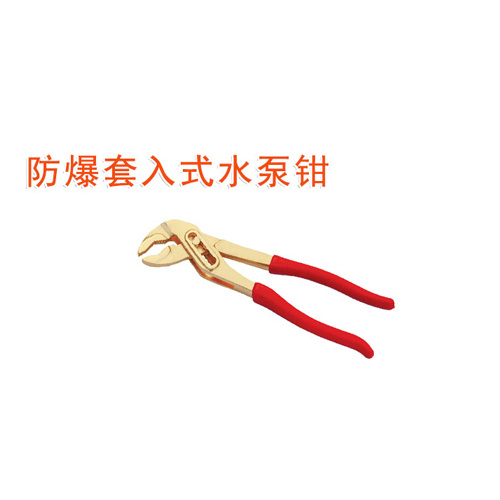 OY6252防爆套入式水泵