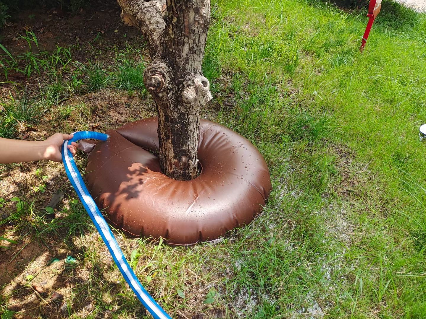 Tree Watering Bag Knowledge Encyclopedia