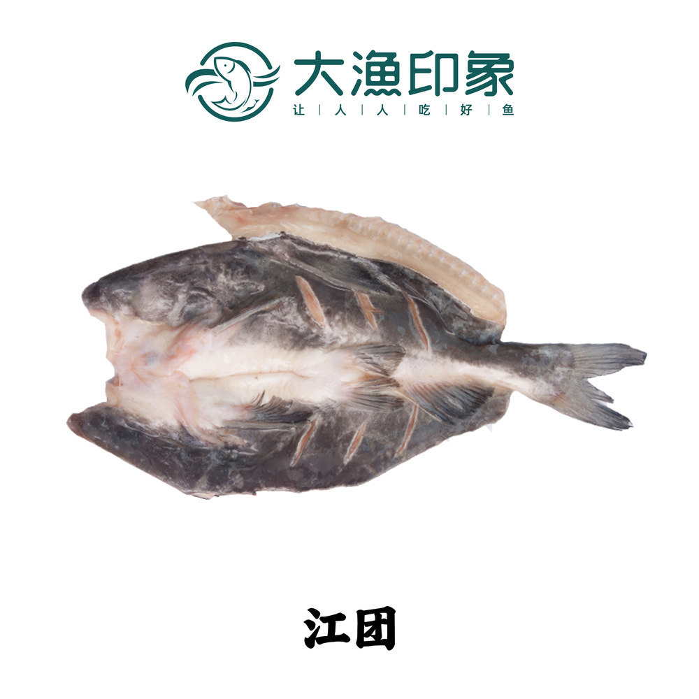 江團