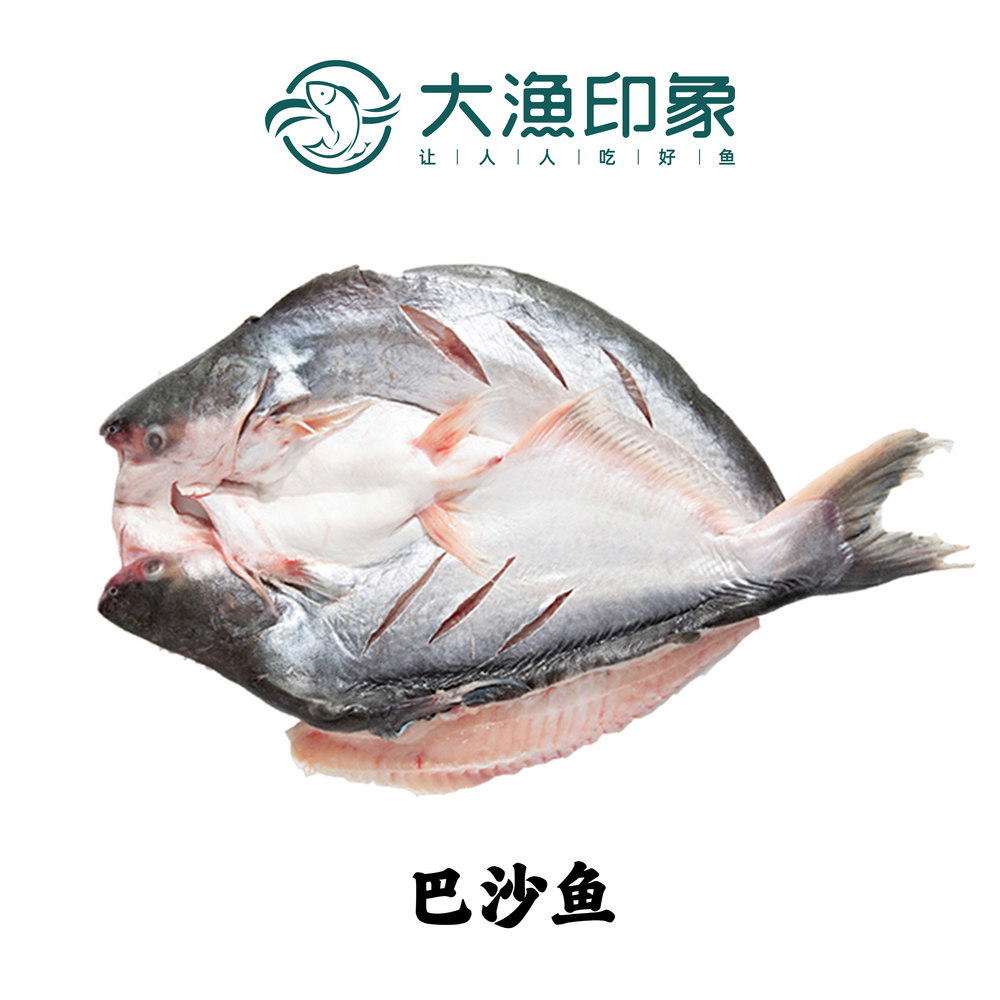 巴沙魚