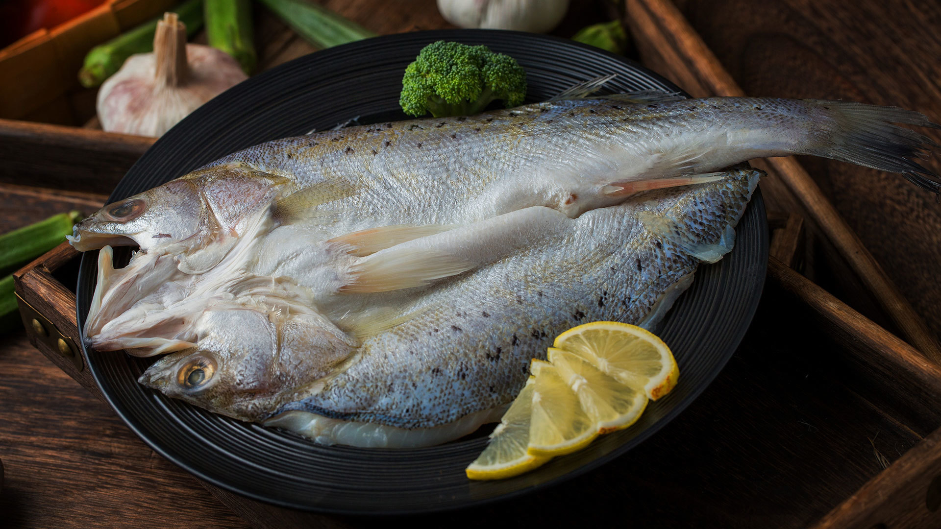 海鱸魚(yú)
