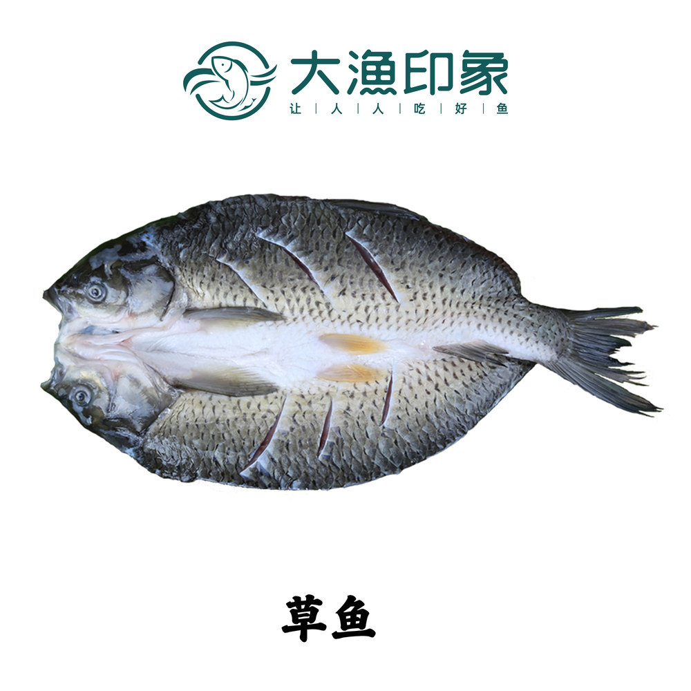 草魚