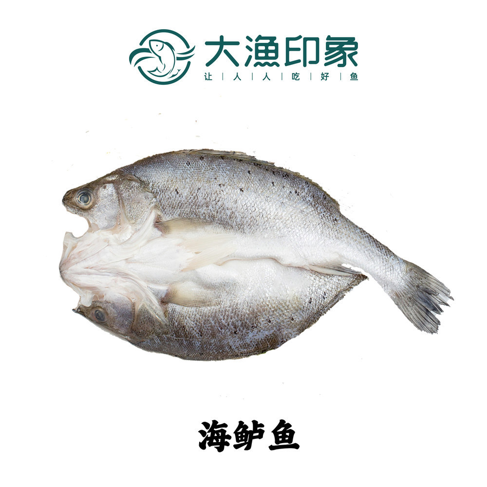 海鱸魚