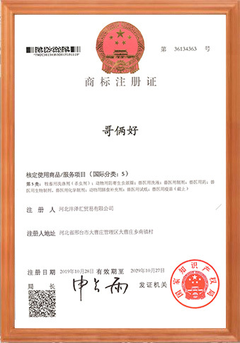榮譽(yù)資質(zhì)