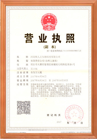 榮譽(yù)資質(zhì)