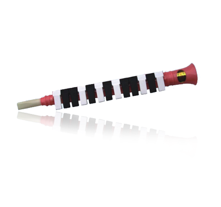 SW13J 13 key mouth organ