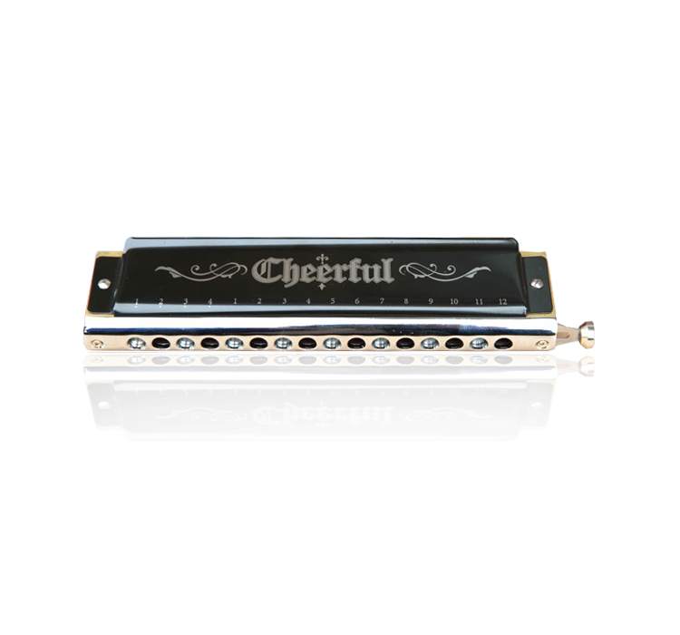 SW1664H-1 16 hole 64tone senior chromatic double reed plate circular mouthpiece harmonica（wooden box)