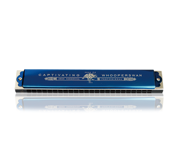 SW2415 The blue rose series（gift box）