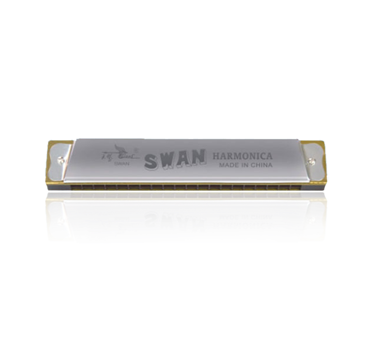 SW20 20 hole C-tune copper reed plate, stainless steel cover plate harmonica(paper box)